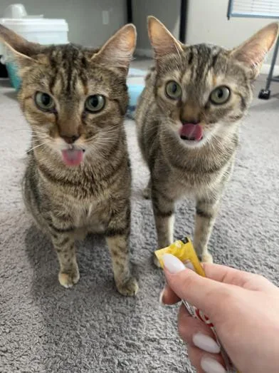 M&m & Lindale thumbnail 6