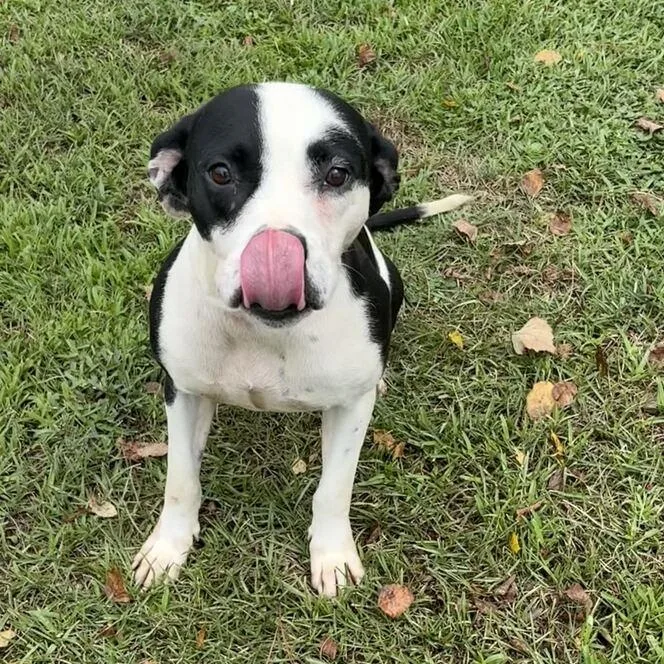 Zula