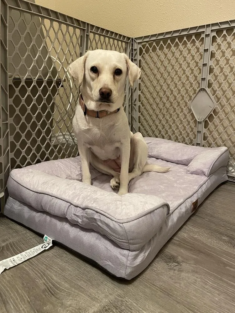 Lily 💜 thumbnail 2