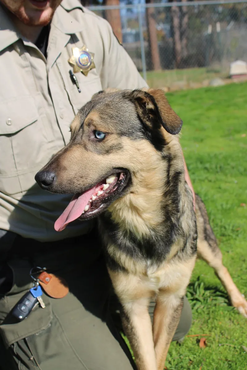 Handsome thumbnail 2