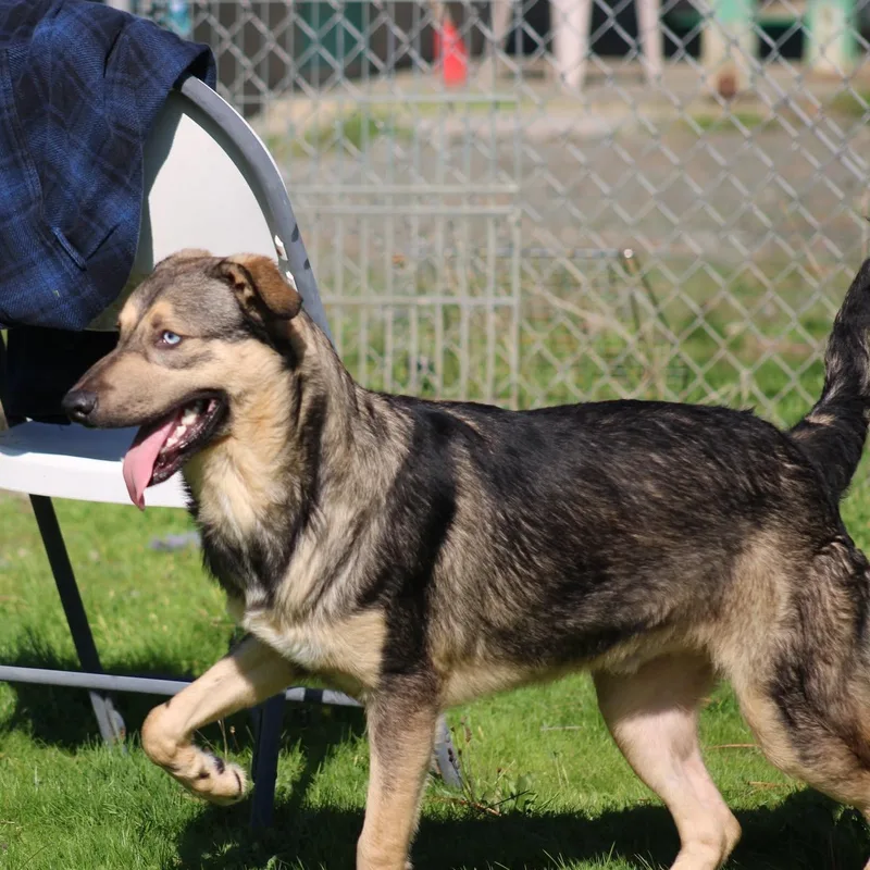 Handsome thumbnail 4