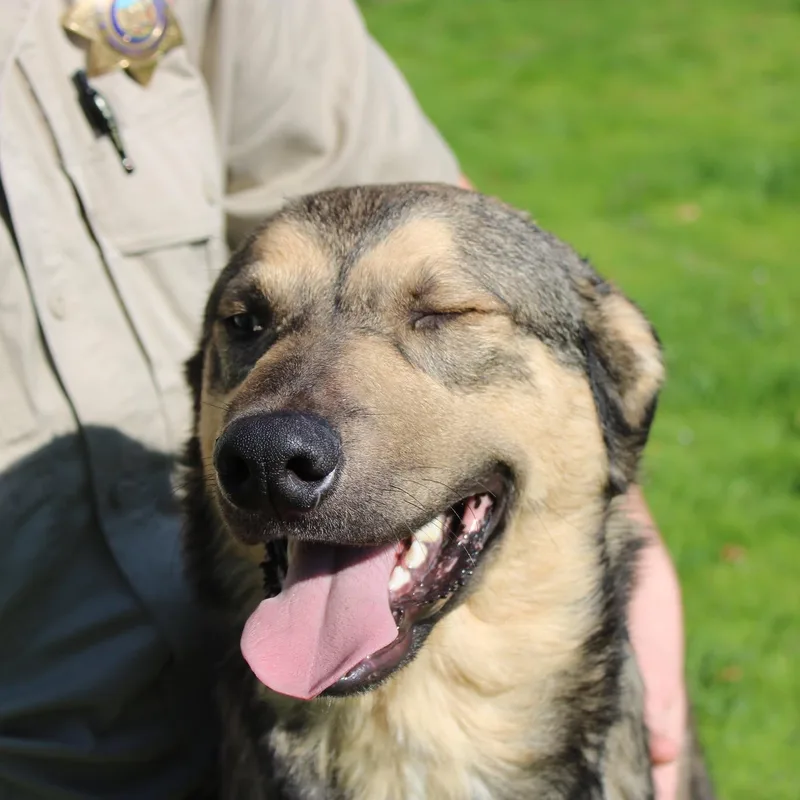 Handsome thumbnail 5