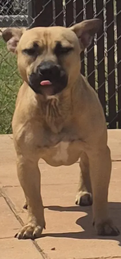 CoCo thumbnail 2