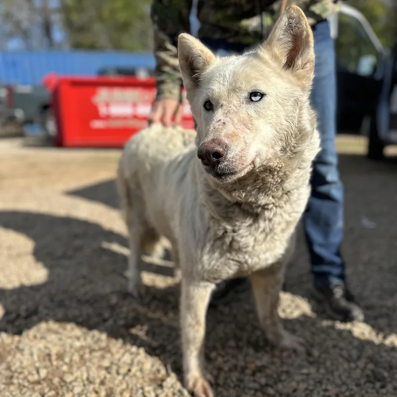 Tap Water thumbnail 3