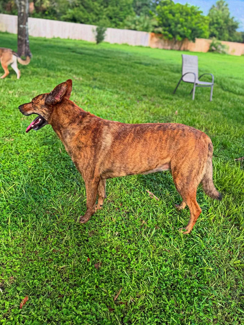 Luna