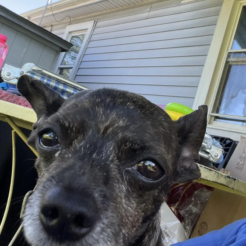 Roscoe