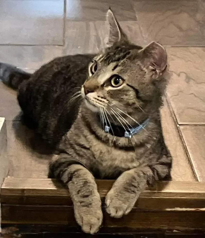 Pete