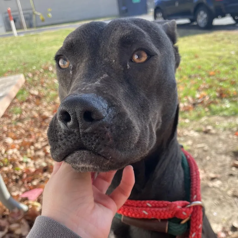 Phil Of The Future thumbnail 3