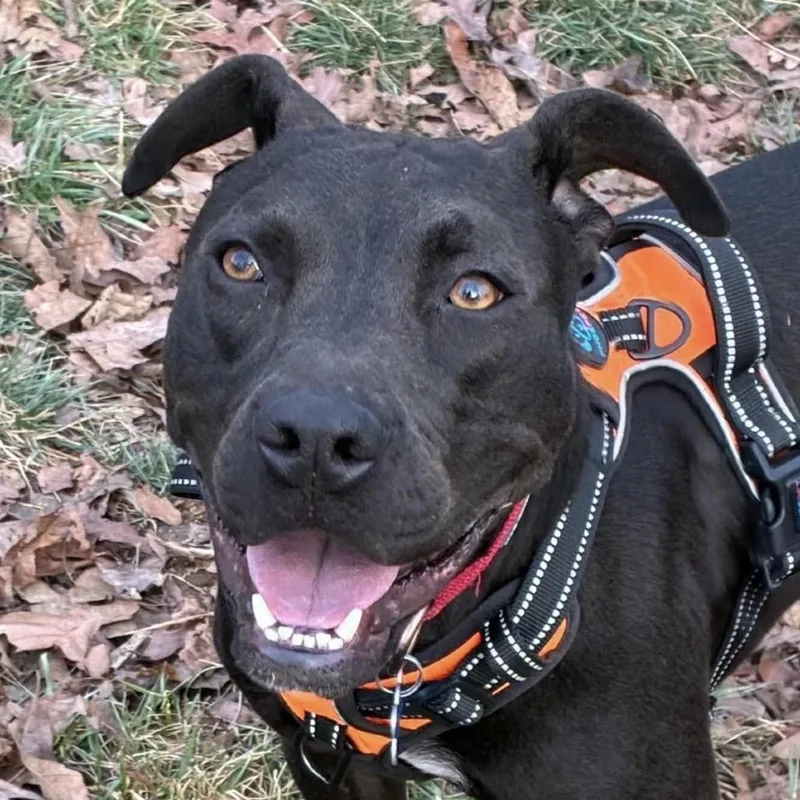 Phil Of The Future thumbnail 4