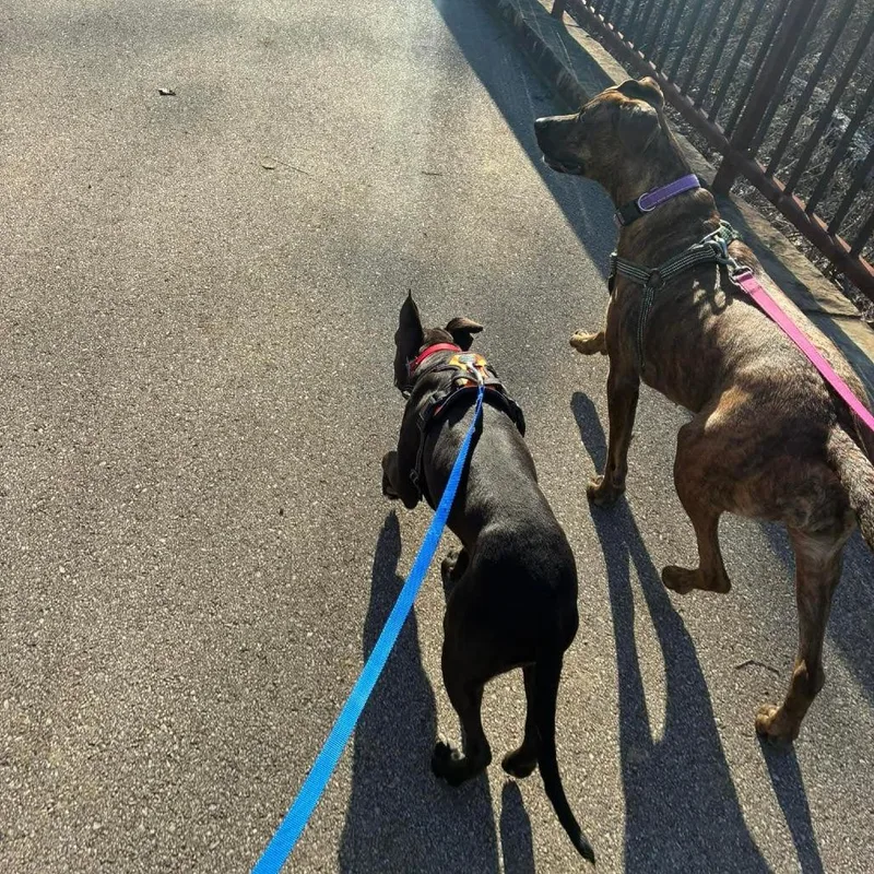 Phil Of The Future thumbnail 5