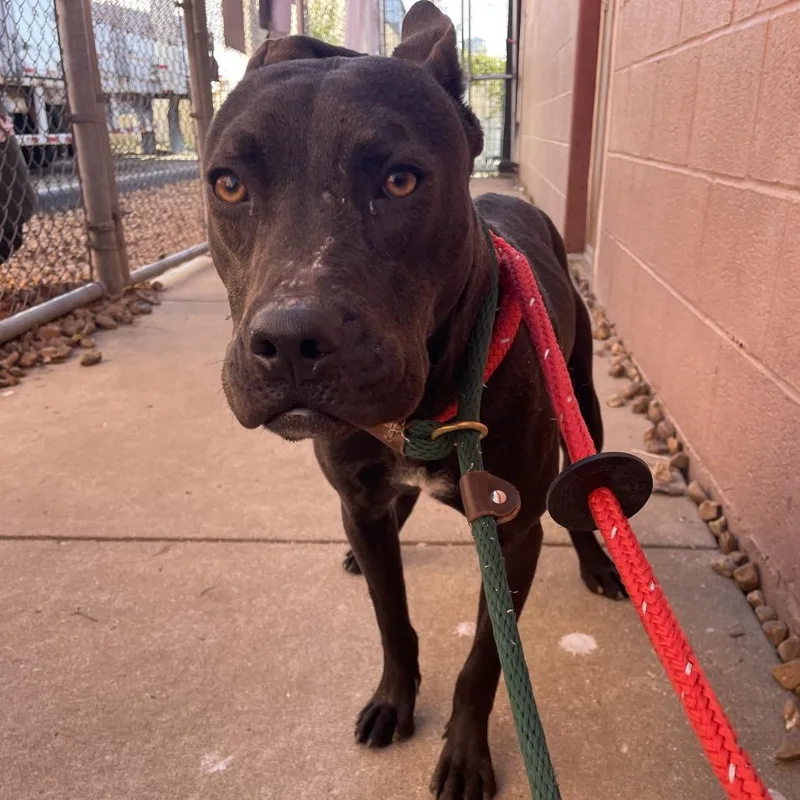 Phil Of The Future thumbnail 6