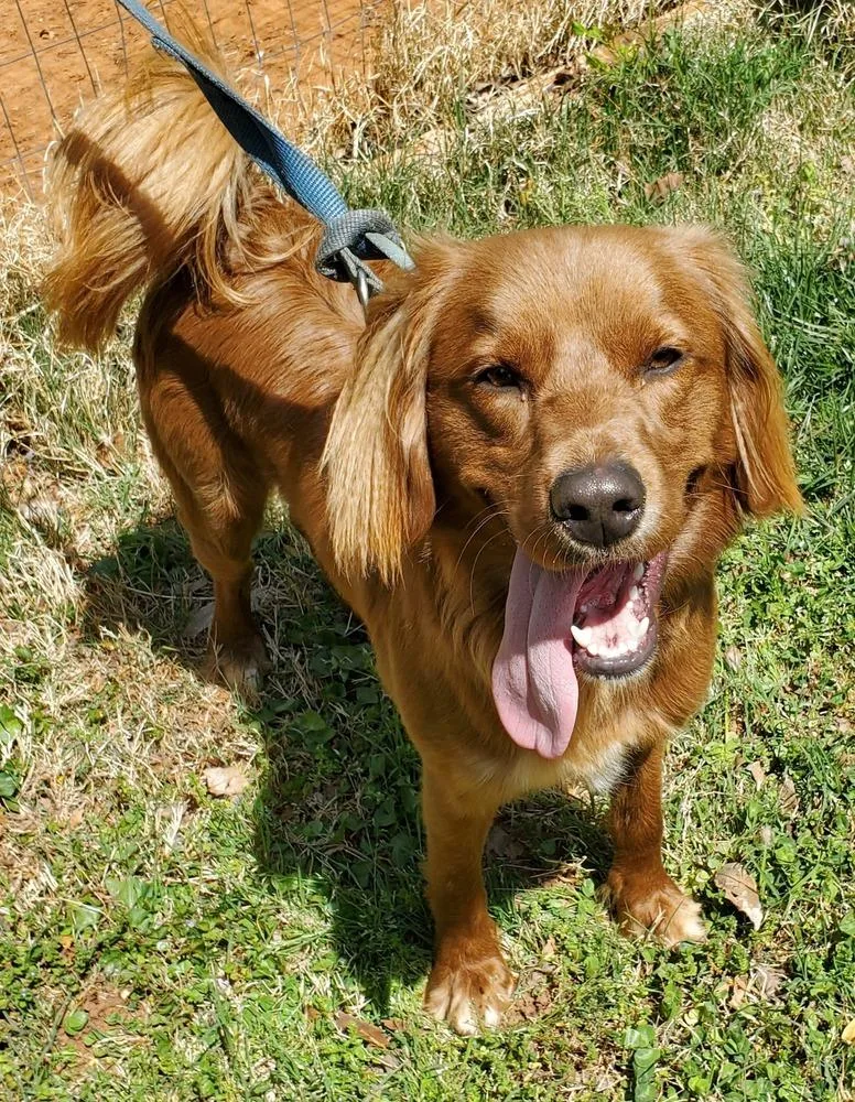 Frederick thumbnail 2