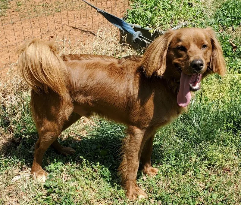 Frederick thumbnail 3