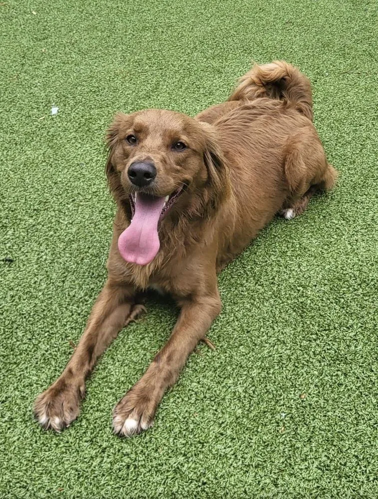 Frederick thumbnail 4