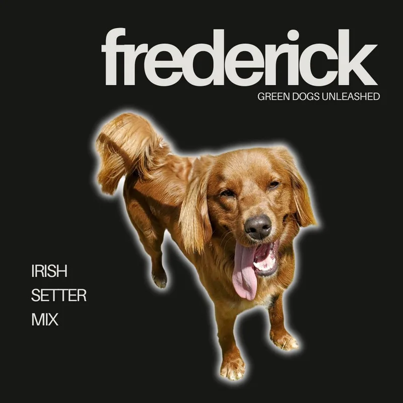 Frederick thumbnail 5