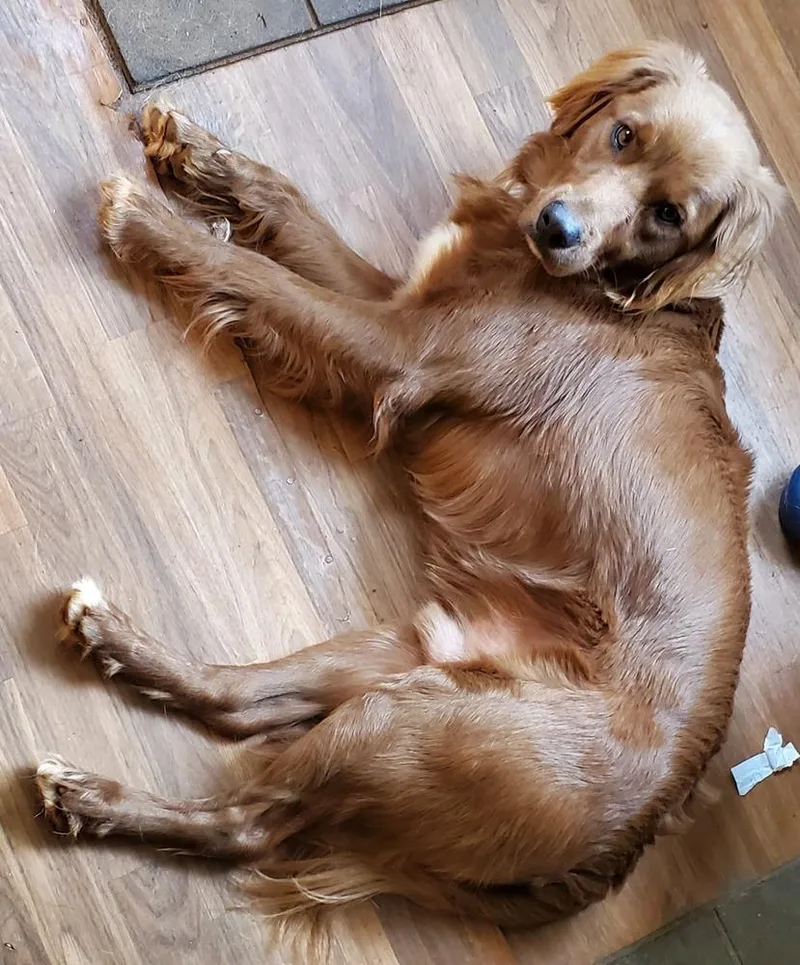 Frederick thumbnail 6