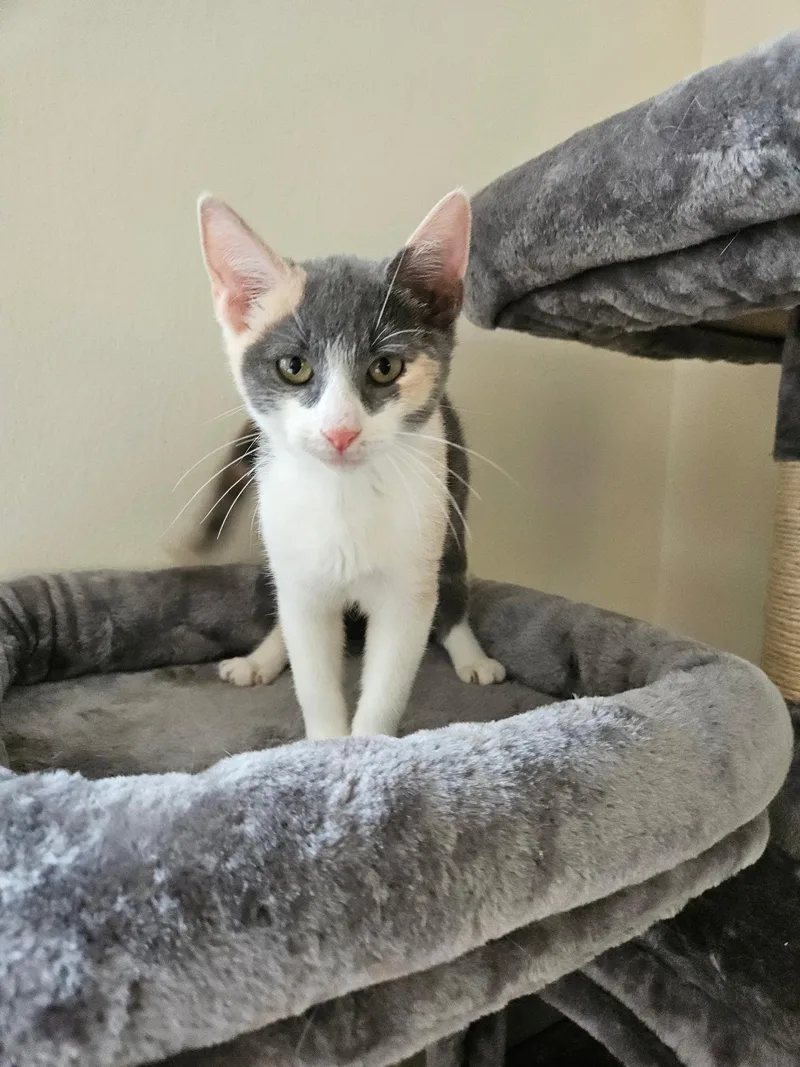 Minnie Moonbeam