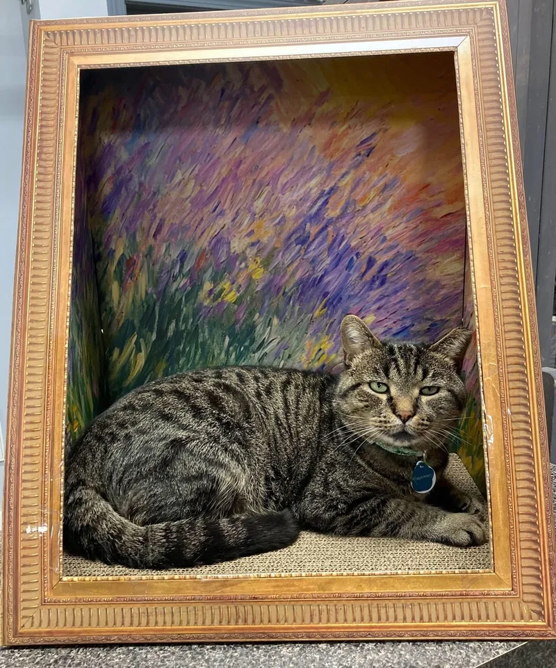 Napoleon thumbnail 3