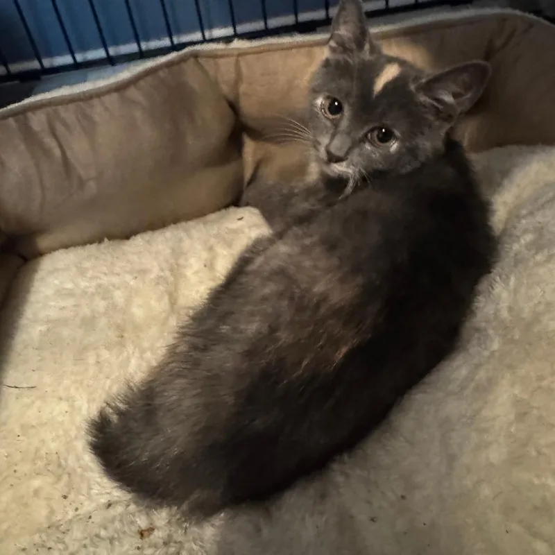 Wilma thumbnail 3