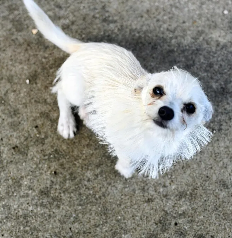 Casper thumbnail 3