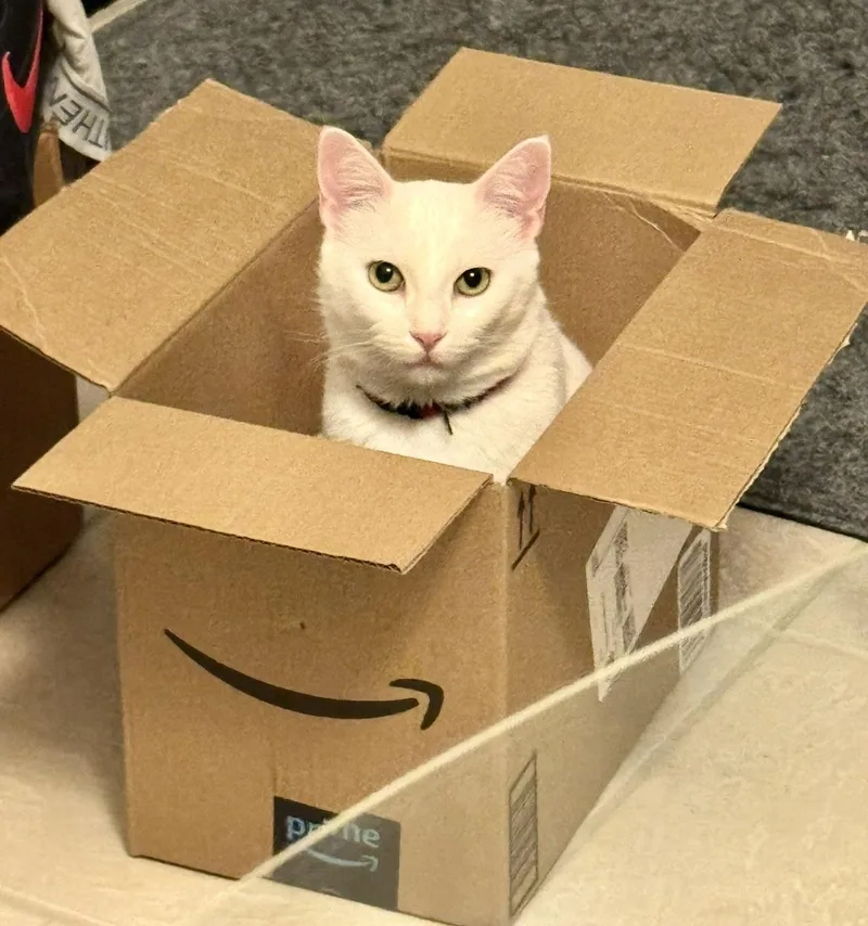 Lilla And Finn thumbnail 2