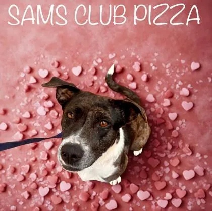 Sam`s Club Pizza thumbnail 2
