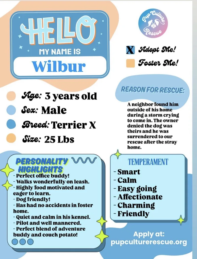 Wilbur