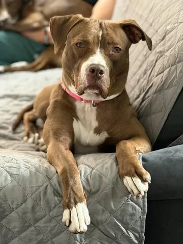 Rozie