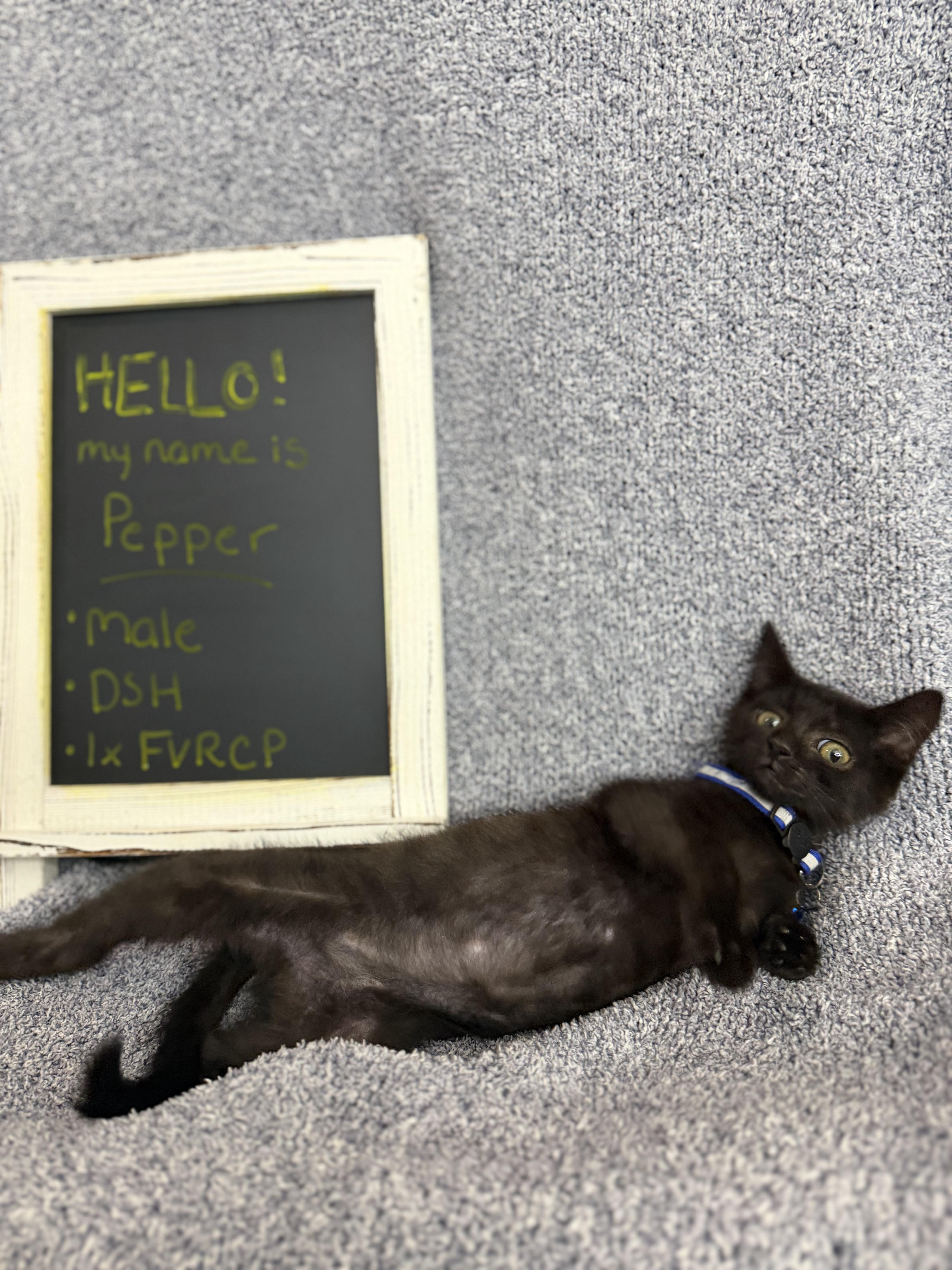 Pepper