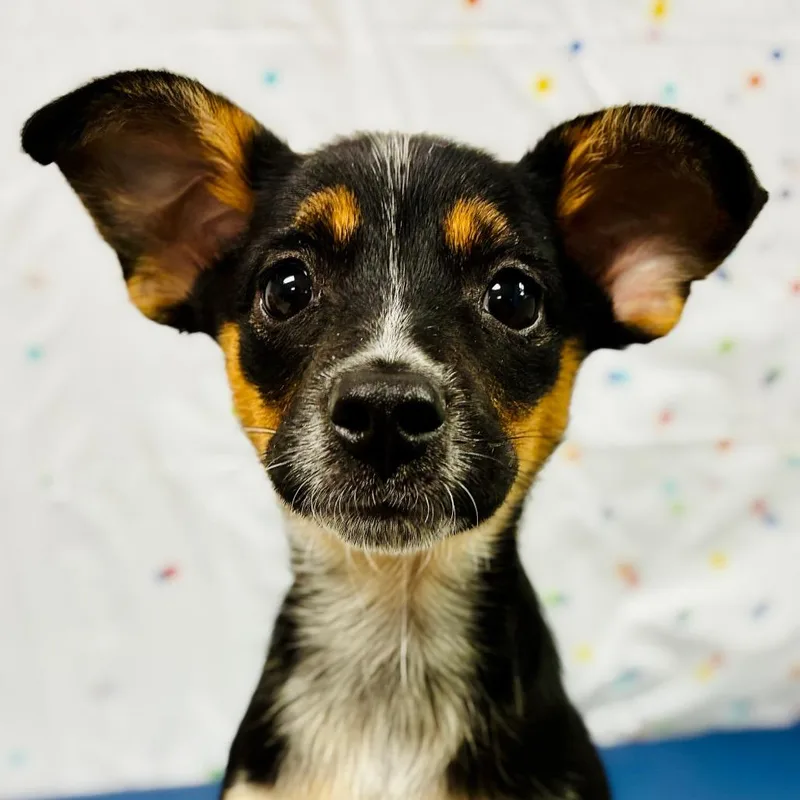 Tina