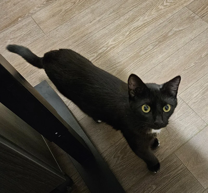 Nina