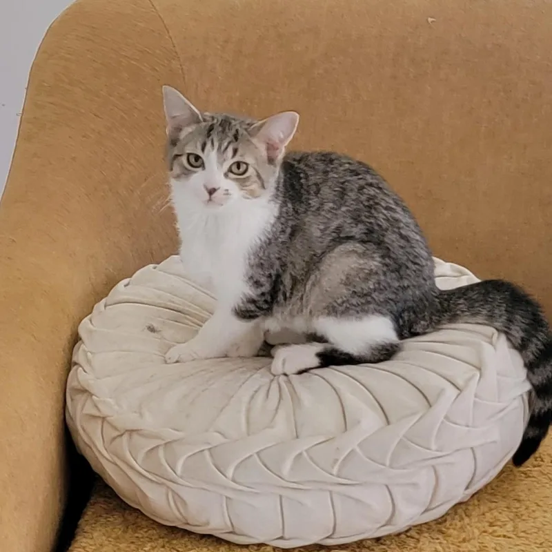 Jennifer Rose thumbnail 3