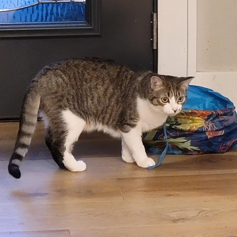 Jennifer Rose thumbnail 4