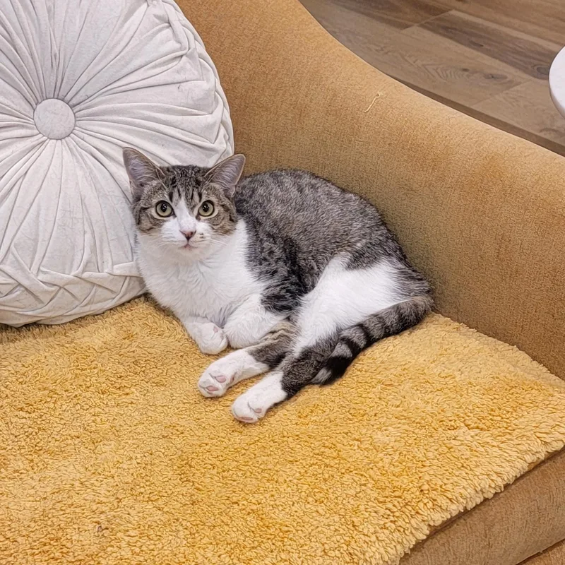 Jennifer Rose thumbnail 6