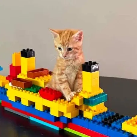 A baby medium-sized male Tabby (Orange / Red) Domestic Short Hair cat named Captain Edward Smith for adoption in Kentwood, MI
