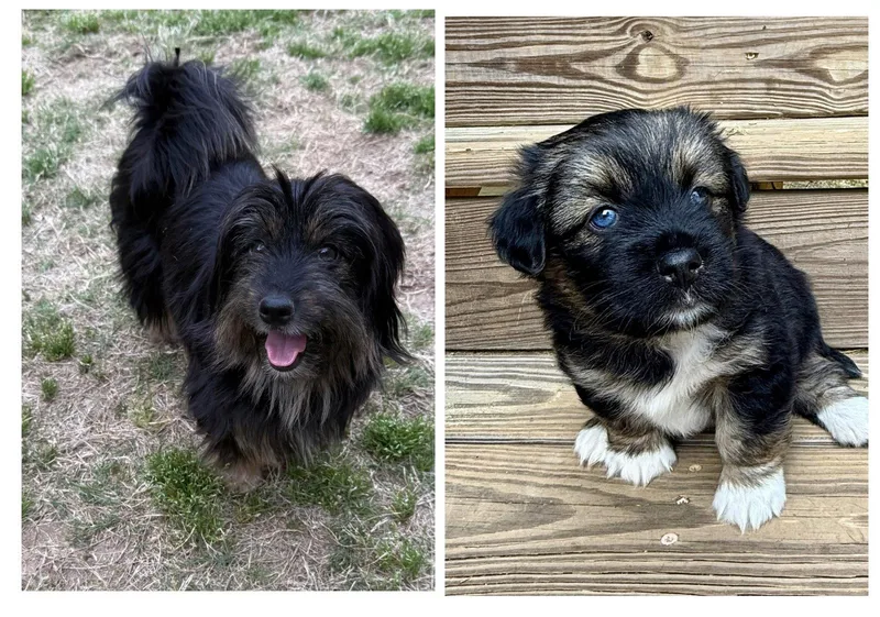 Macy Middleton thumbnail 2