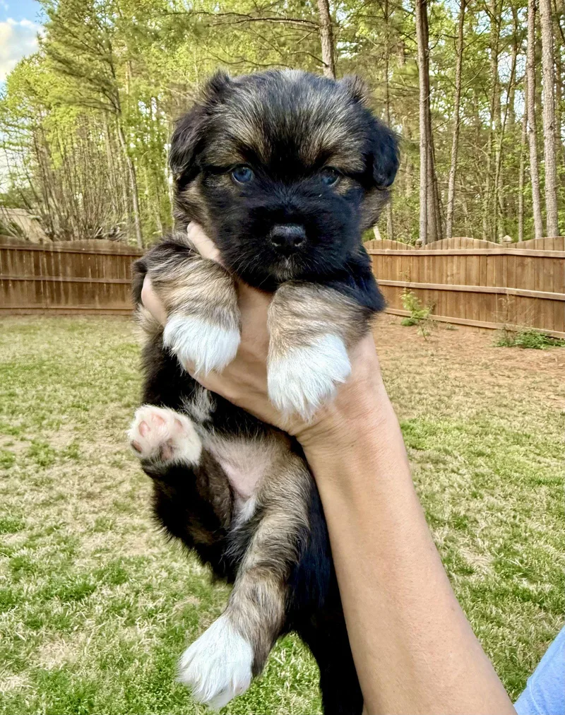 Macy Middleton thumbnail 3