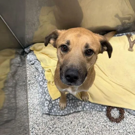 Luke "jake" thumbnail 2