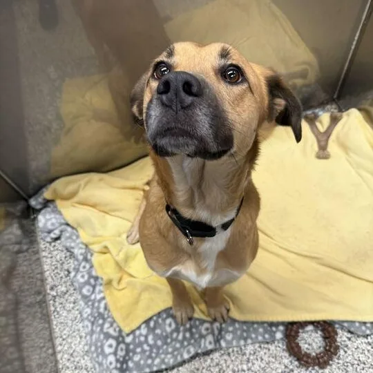 Luke "jake" thumbnail 3