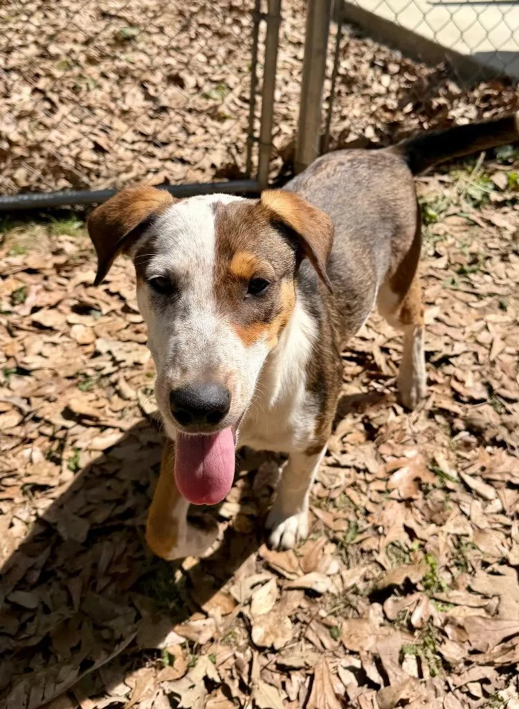 Pretty Boy thumbnail 2