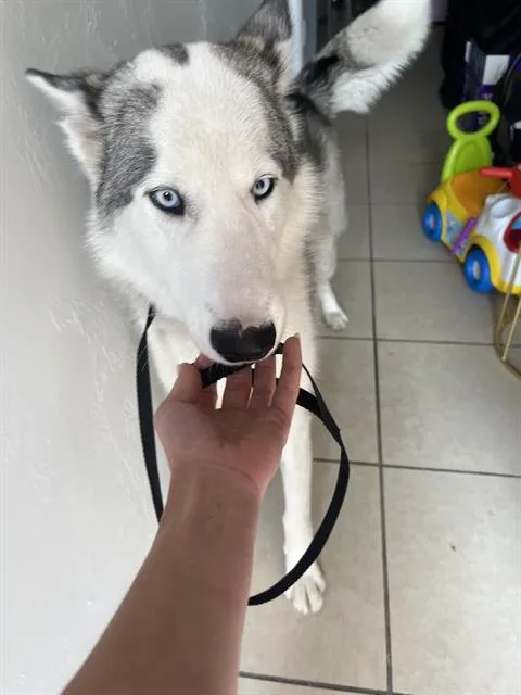 Yukon