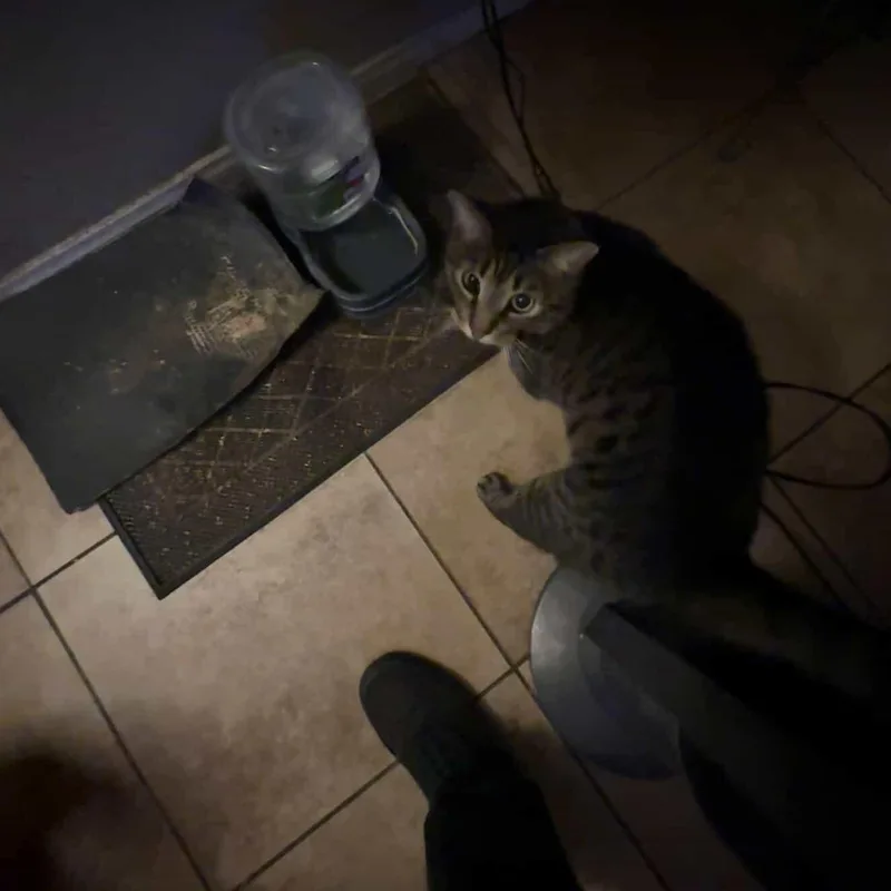 Zach~ Playful And Affectionate thumbnail 3