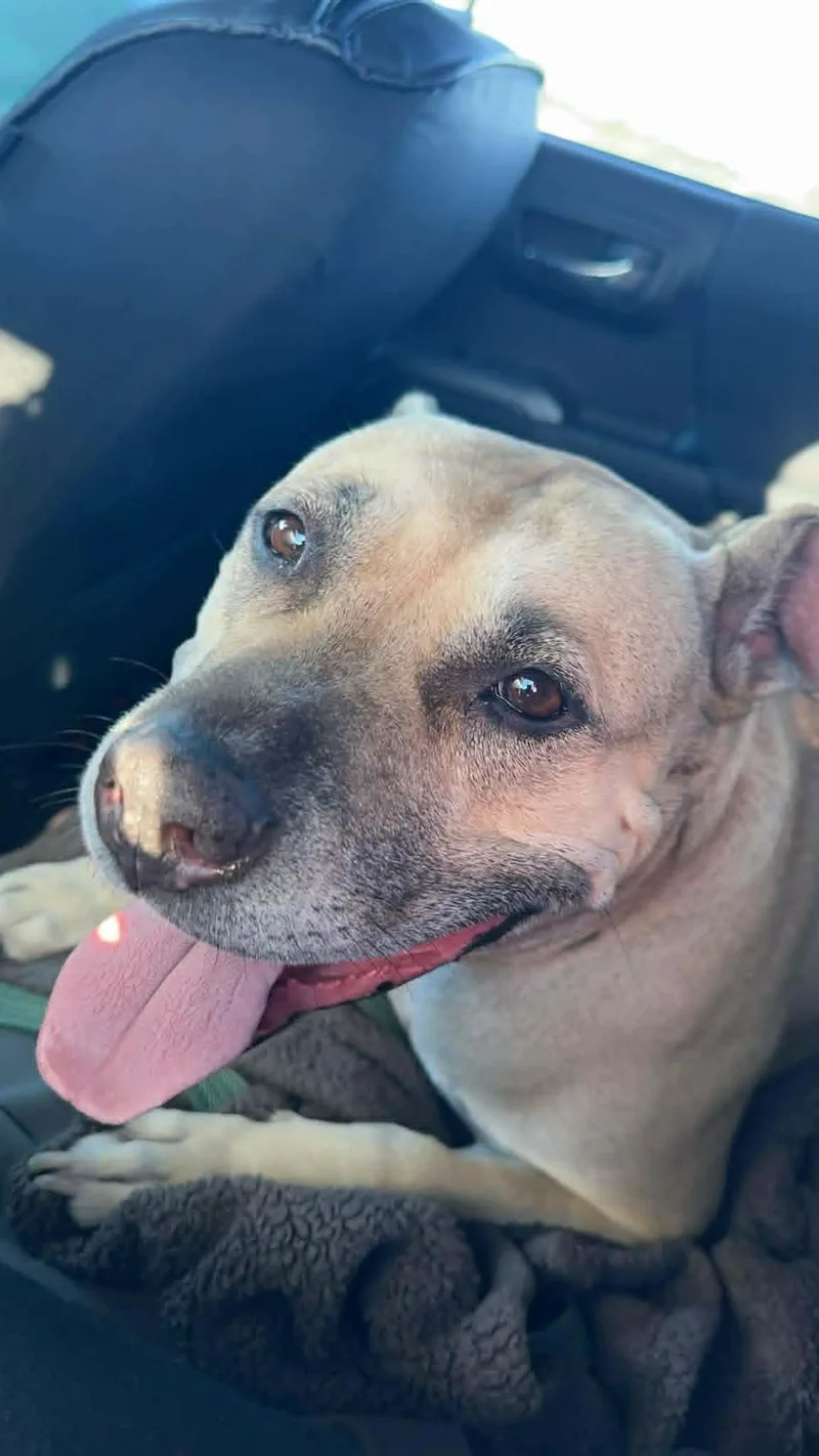 Nilah~ Courtesy thumbnail 3