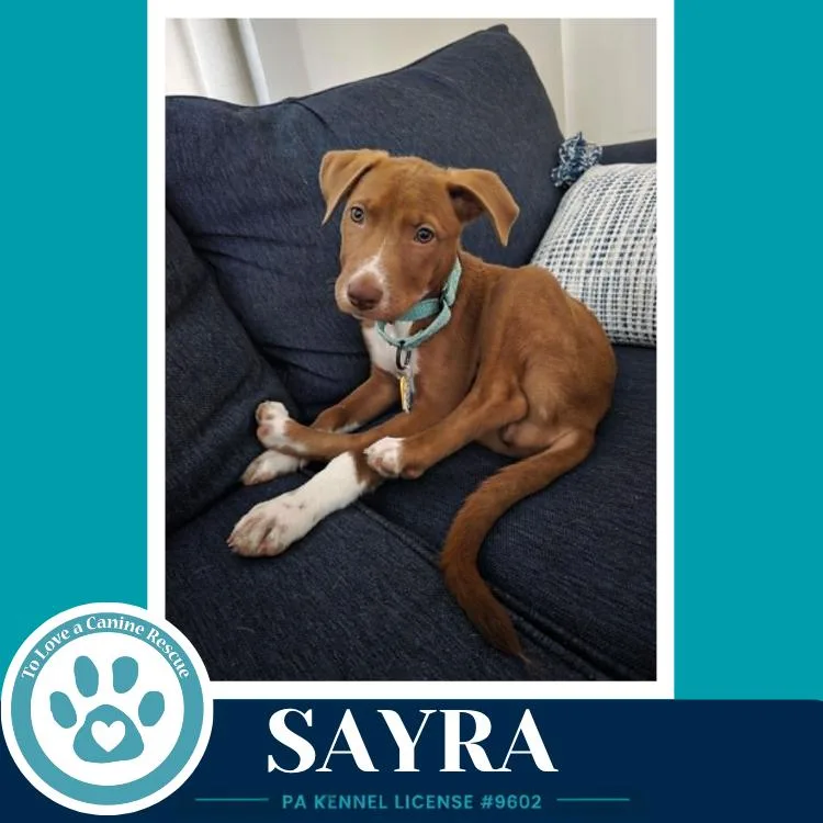 Sayra thumbnail 2
