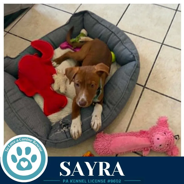 Sayra thumbnail 3