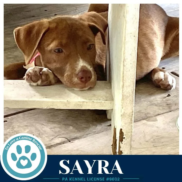 Sayra thumbnail 4