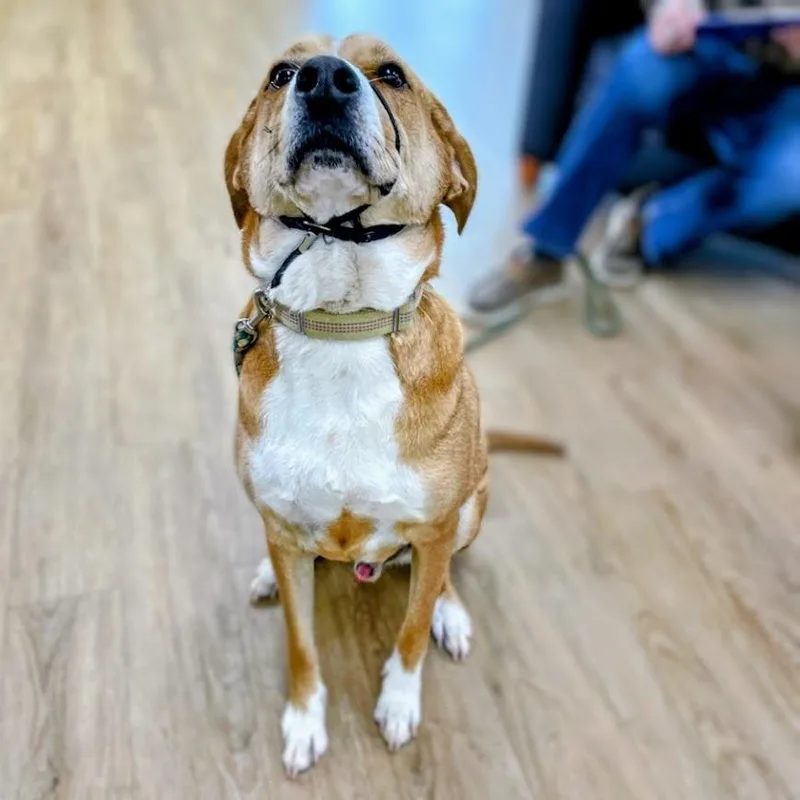 Marky Mark  "gimbals"