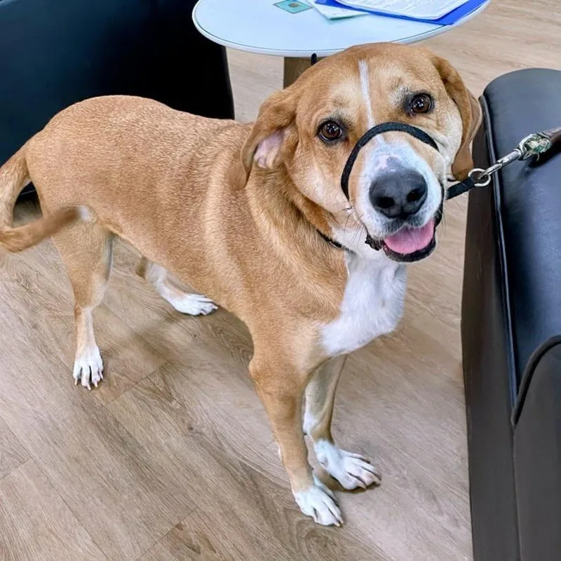 Marky Mark  "gimbals" thumbnail 2