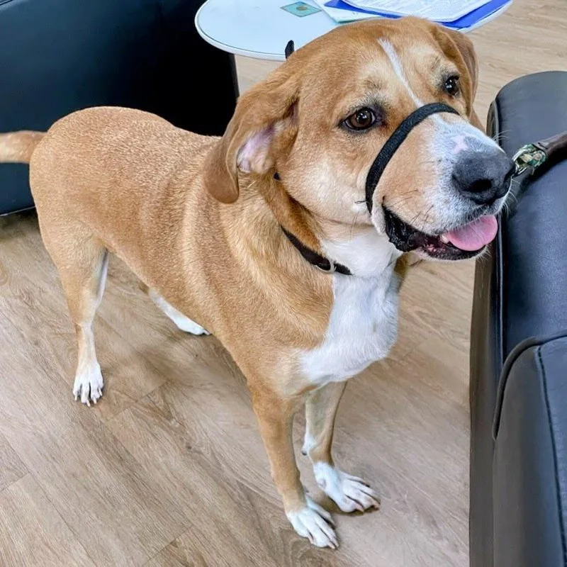 Marky Mark  "gimbals" thumbnail 3