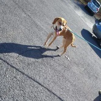 Marky Mark  "gimbals" thumbnail 4